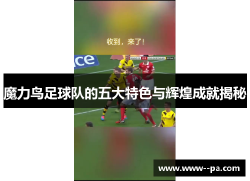 魔力鸟足球队的五大特色与辉煌成就揭秘